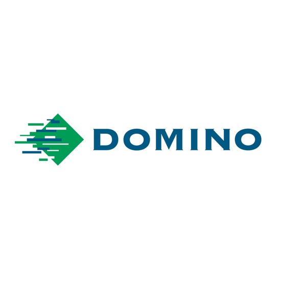Domino pringing logo